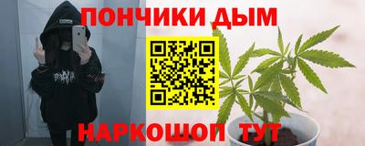 прущие грибы Обь