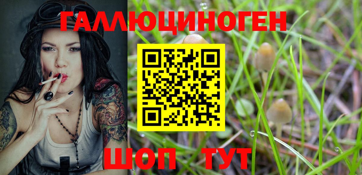 Псилоцибиновые грибы мицелий Семилуки