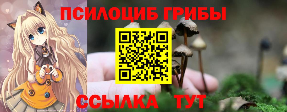 Галлюциногенные грибы прущие грибы  Вход с VPN  Псилоцибиновые грибы Magic Shrooms  Семилуки 
